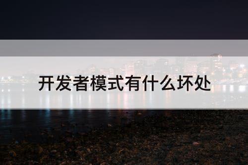 开发者模式有什么坏处