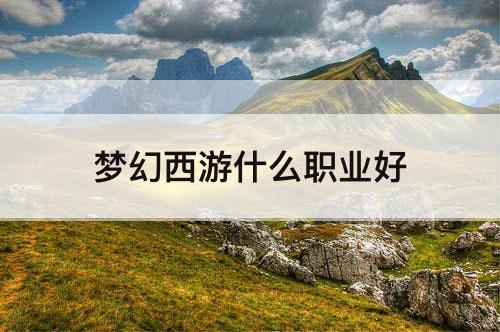 梦幻西游什么职业好