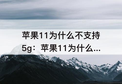 苹果11为什么不支持5g：苹果11为什么不支持5g苹果se都支持5g