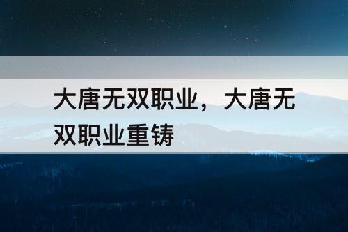 大唐无双职业，大唐无双职业重铸