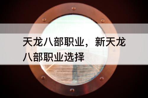 天龙八部职业，新天龙八部职业选择