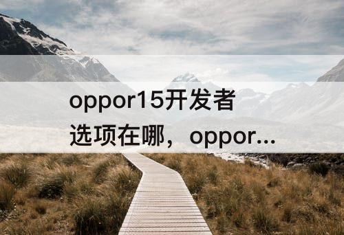 oppor15开发者选项在哪，oppor15开发者选项在哪里打开