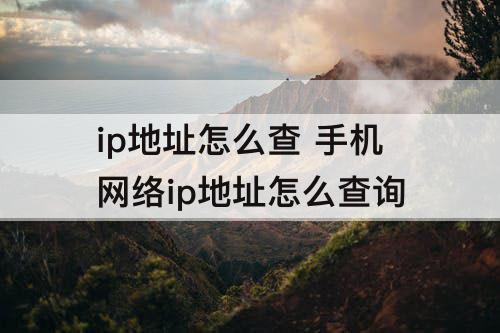 ip地址怎么查 手机网络ip地址怎么查询
