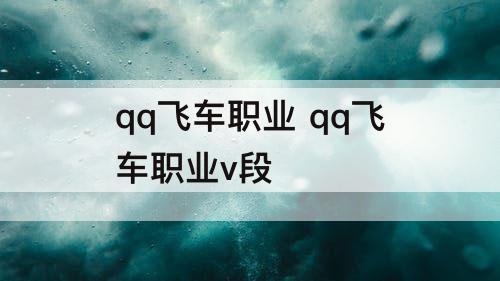 qq飞车职业 qq飞车职业v段