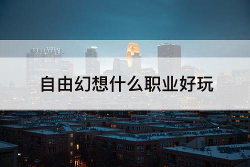 自由幻想什么职业好玩