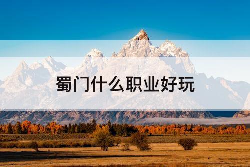 蜀门什么职业好玩