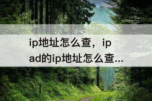 ip地址怎么查，ipad的ip地址怎么查看