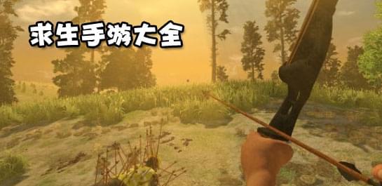 求生手游