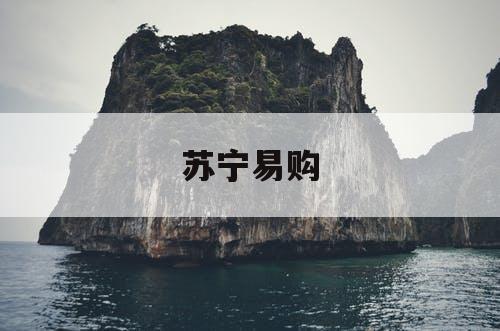 苏宁易购