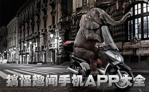 搞怪趣闻