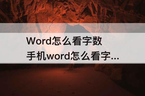 Word怎么看字数 手机word怎么看字数