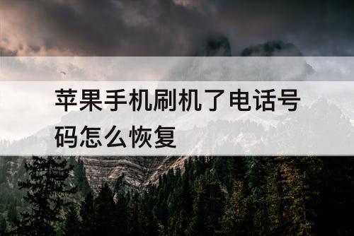 苹果手机刷机了电话号码怎么恢复