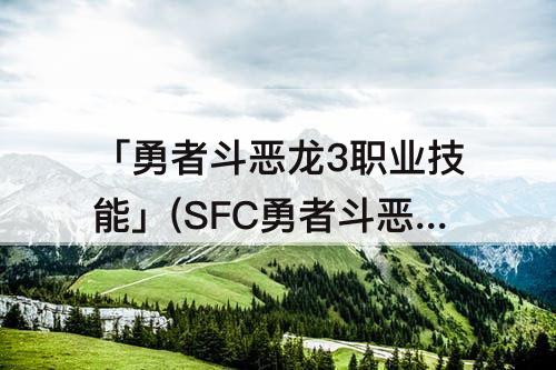 「勇者斗恶龙3职业技能」(SFC勇者斗恶龙3职业技能大全)