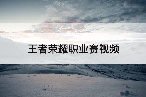 王者荣耀职业赛视频