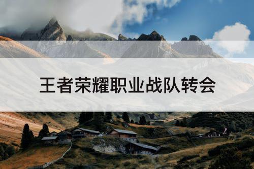 王者荣耀职业战队转会