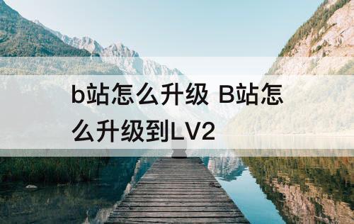 b站怎么升级 B站怎么升级到LV2