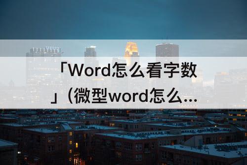 「Word怎么看字数」(微型word怎么看字数统计)
