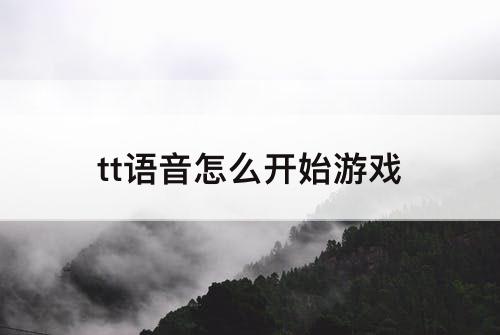 tt语音怎么开始游戏