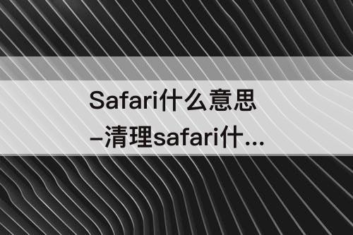 Safari什么意思-清理safari什么意思
