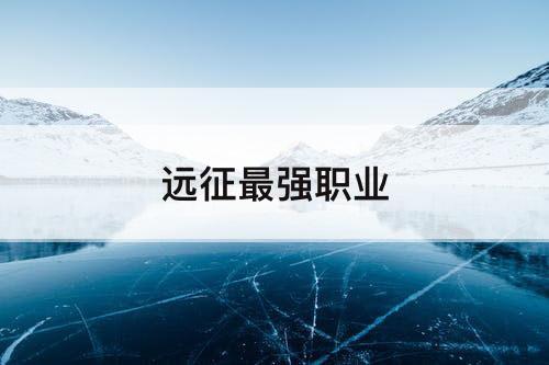 远征最强职业