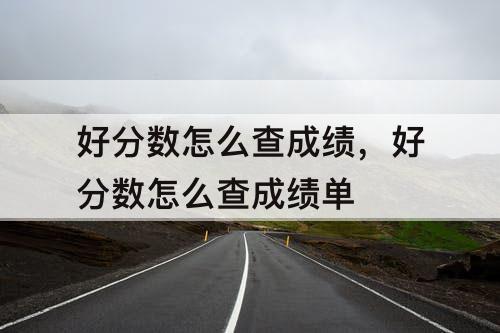 好分数怎么查成绩，好分数怎么查成绩单
