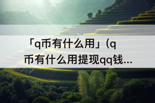 「q币有什么用」(q币有什么用提现qq钱包)