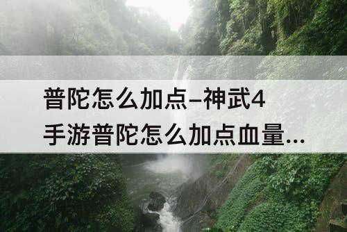 普陀怎么加点-神武4手游普陀怎么加点血量最大
