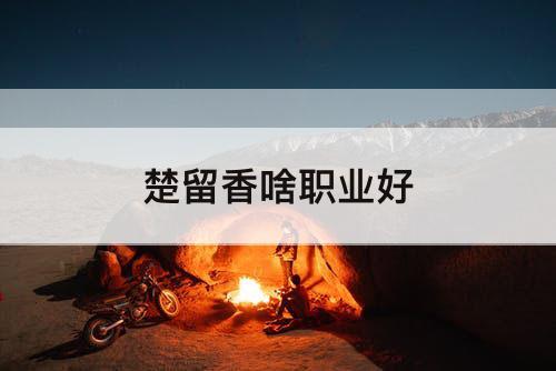 楚留香啥职业好