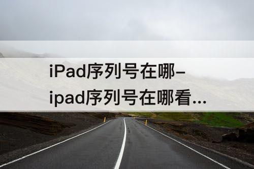 iPad序列号在哪-ipad序列号在哪看 盒子