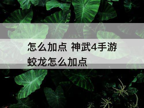 怎么加点 神武4手游蛟龙怎么加点