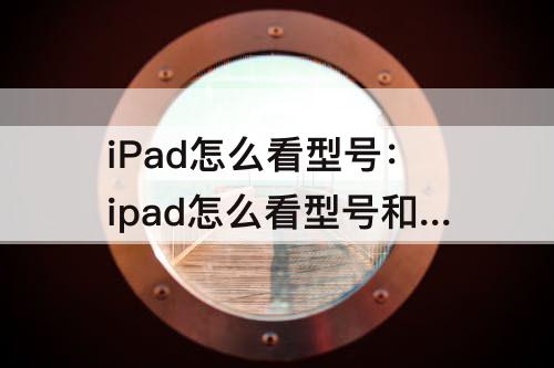 iPad怎么看型号：ipad怎么看型号和尺寸大小
