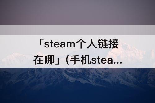 「steam个人链接在哪」(手机steam个人链接在哪里)