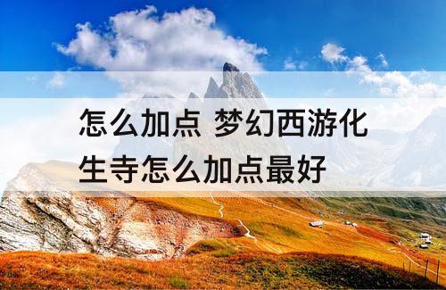 怎么加点 梦幻西游化生寺怎么加点最好