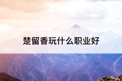 楚留香玩什么职业好