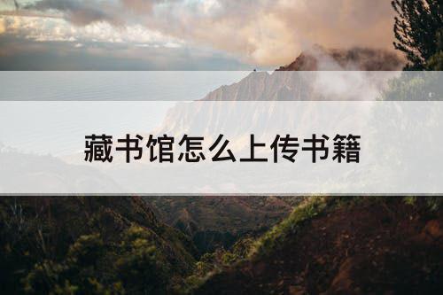 藏书馆怎么上传书籍