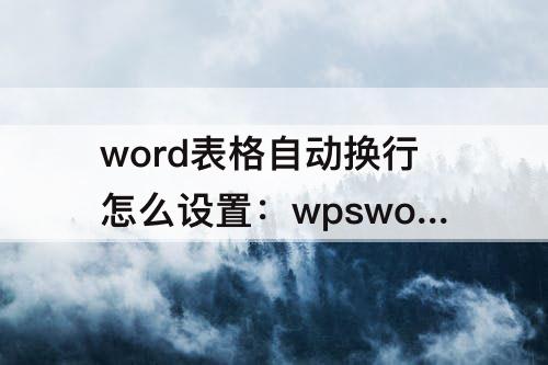 word表格自动换行怎么设置：wpsword表格自动换行怎么设置