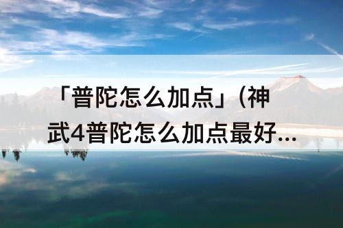 「普陀怎么加点」(神武4普陀怎么加点最好)