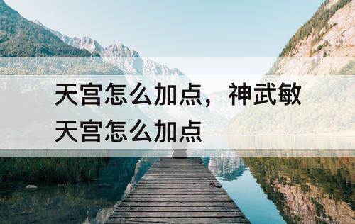 天宫怎么加点，神武敏天宫怎么加点