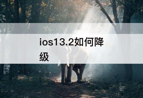 ios13.2如何降级