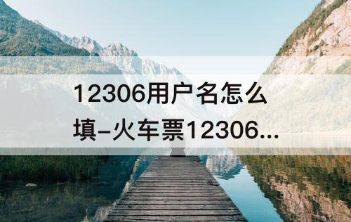 12306用户名怎么填-火车票12306用户名怎么填写