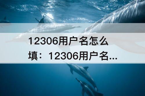 12306用户名怎么填：12306用户名怎么填?