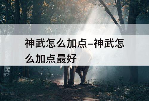 神武怎么加点-神武怎么加点最好