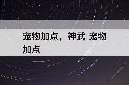 宠物加点，神武 宠物加点