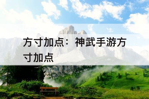 方寸加点：神武手游方寸加点