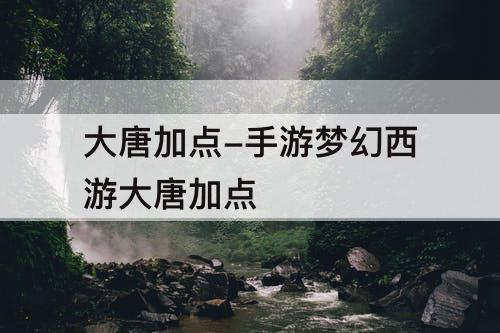 大唐加点-手游梦幻西游大唐加点