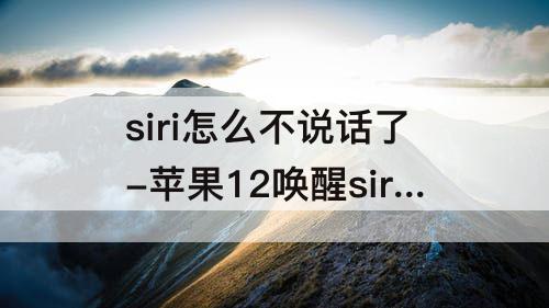 siri怎么不说话了-苹果12唤醒siri怎么不说话了