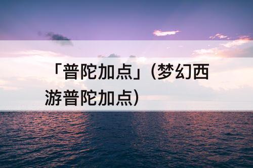 「普陀加点」(梦幻西游普陀加点)