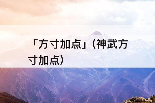 「方寸加点」(神武方寸加点)