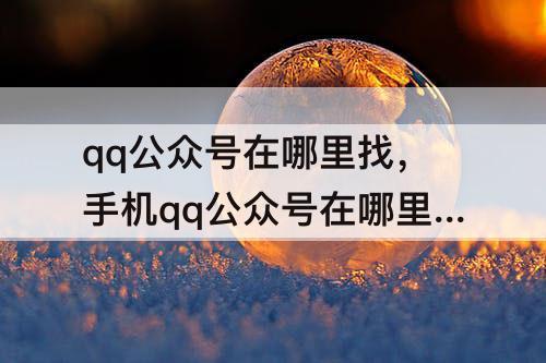 qq公众号在哪里找，手机qq公众号在哪里找