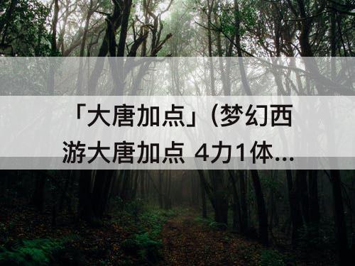 「大唐加点」(梦幻西游大唐加点 4力1体)